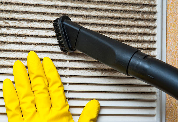Best HVAC Duct Inspection Services  in Hilbert, WI